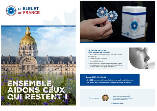 Collecte du 4 au 10 novembre: 2€ pour un bleuet et pour une cause.